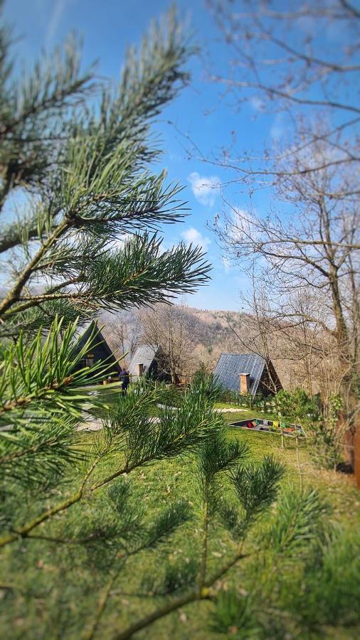 Loca Sapanca Bungalov المظهر الخارجي الصورة